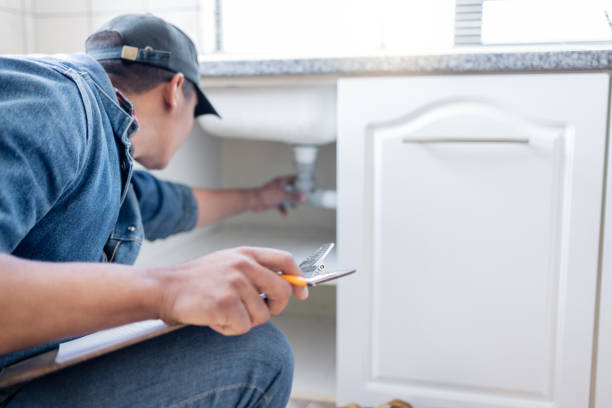 Best Local Plumber Services  in Lewisburg, WV